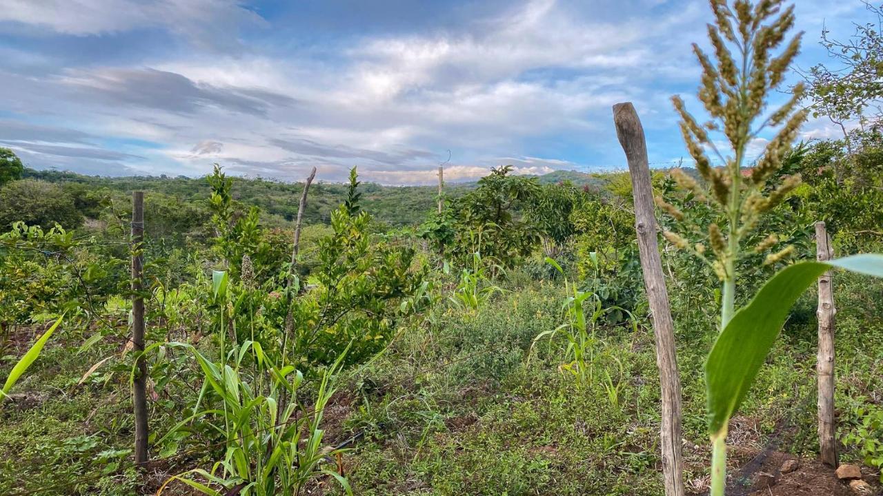 Отель Finca San Pedro Баричара Экстерьер фото