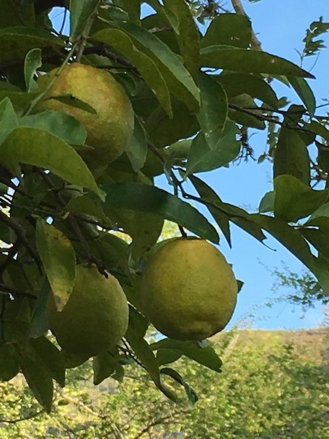 Отель Finca San Pedro Баричара Экстерьер фото